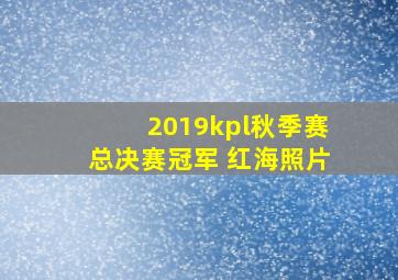 2019kpl秋季赛总决赛冠军 红海照片